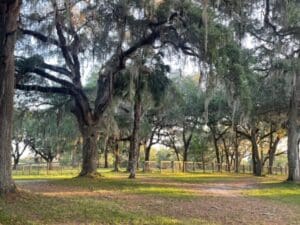 Cover. 13370 W Highway 318, Williston, FL 32696