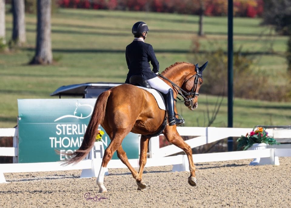 Heather Mason and Manuskript SCF