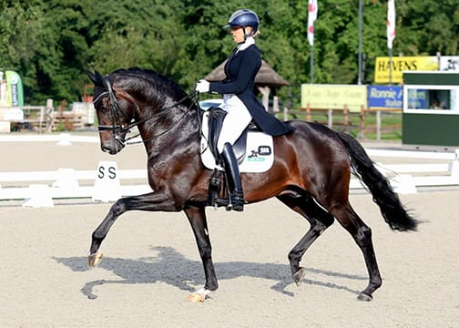 Barton VDL with Vai Bruntink