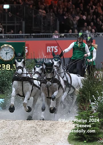 Bram Chardon and his new team improving with time, shaving their time on the second double clear round.