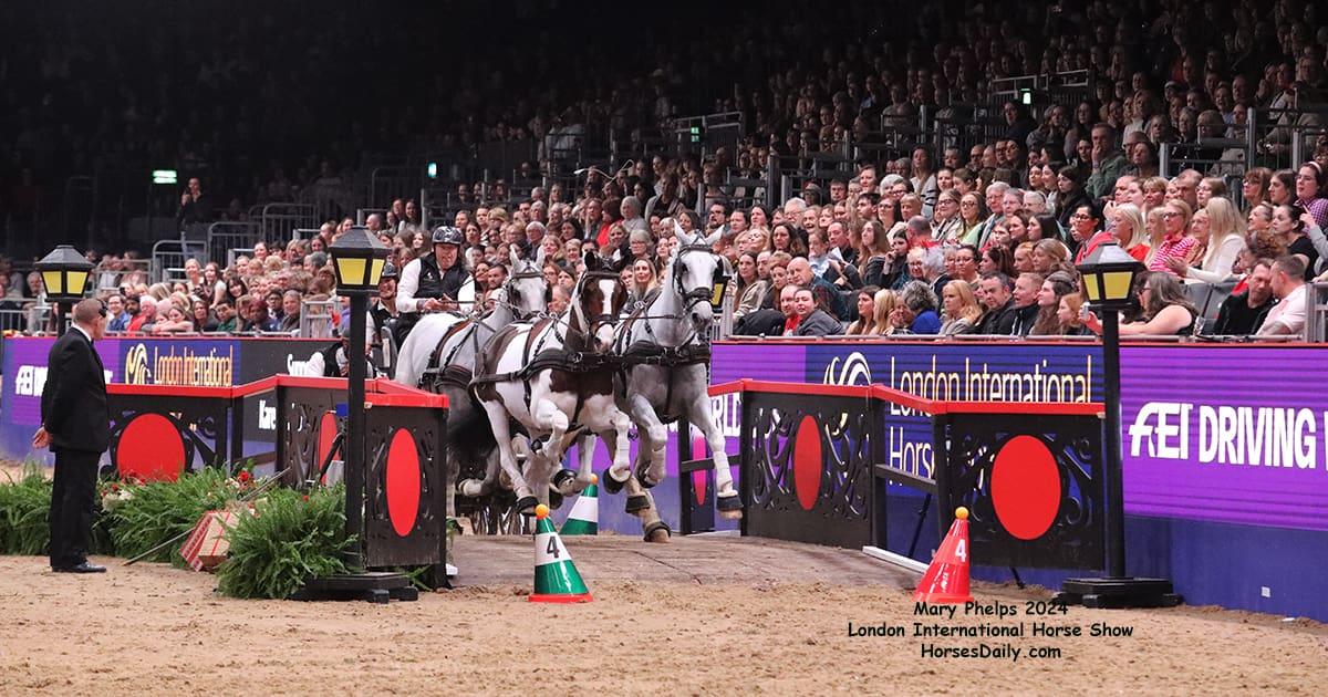 Isjbrand Chardon-London-2024