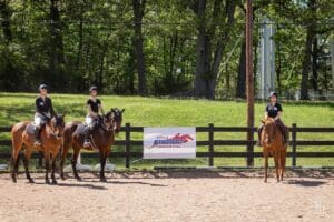 Credentialed Instructors in 2024