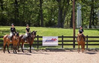 Credentialed Instructors in 2024