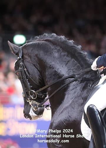 Charlotte Fry and Glamourdale