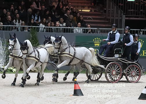 Fredrik Persson (SWE) and his new Lipizzaner team
