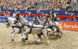 Bram Chardon (NED) winner at the FEI Driving World Cup™ 2024/25 - Leipzig (GER) Copyright ©FEI/Leanjo de Koster