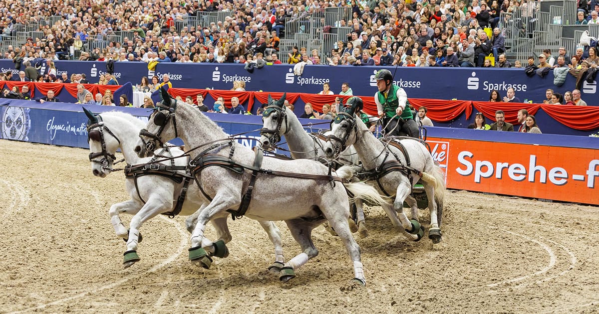 Bram Chardon (NED) winner at the FEI Driving World Cup™ 2024/25 - Leipzig (GER) Copyright ©FEI/Leanjo de Koster