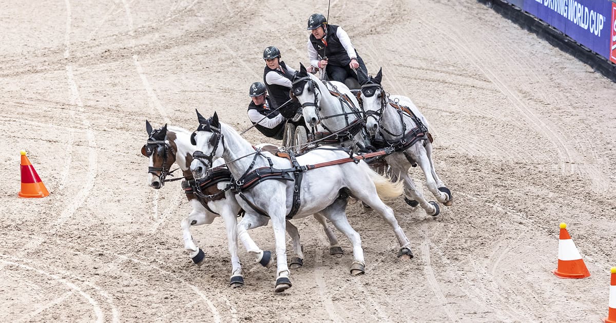 IJsbrand Chardon (NED) second place at the FEI Driving World Cup™ 2024/25 - Leipzig (GER) Copyright ©FEI/Leanjo de Koster