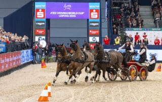 Anna Mareike Meier (GER) at the FEI Driving World Cup™ 2024/25 - Leipzig (GER) Copyright ©FEI/Leanjo de Koster