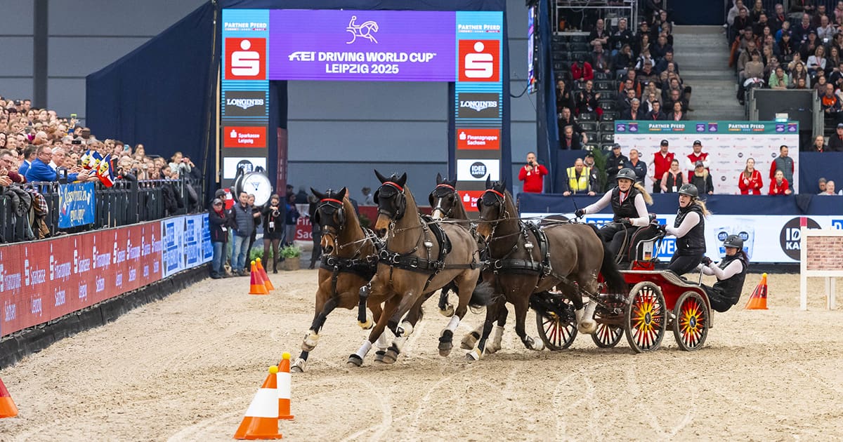 Anna Mareike Meier (GER) at the FEI Driving World Cup™ 2024/25 - Leipzig (GER) Copyright ©FEI/Leanjo de Koster