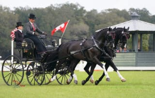 Jacob Arnold Dressage Grand Oaks Spring Fling FEI CDE 2025