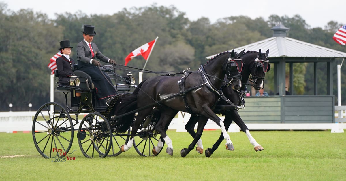 Jacob Arnold Dressage Grand Oaks Spring Fling FEI CDE 2025