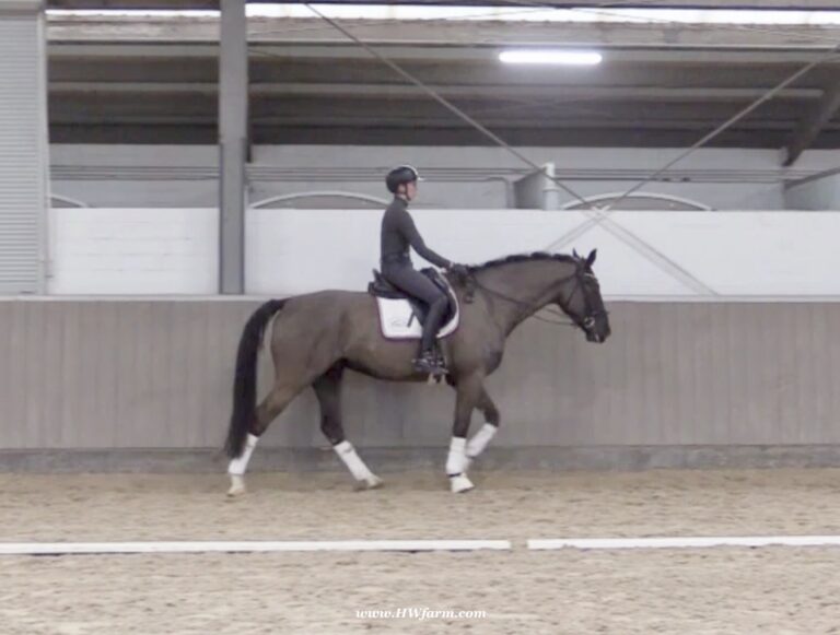 Norton HW walk 768x581