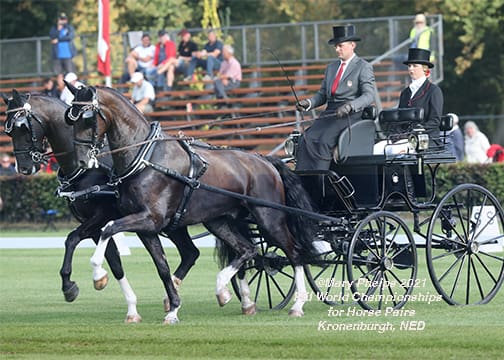 Jacob Arnold USA FEI World Driving Championships for Horse Pairs Kronenberg 2021 ©Mary Phelps 2021
