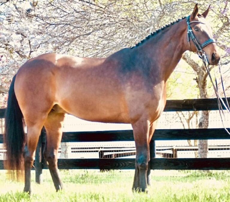 FB Parlay Conformation HM25 March 768x672