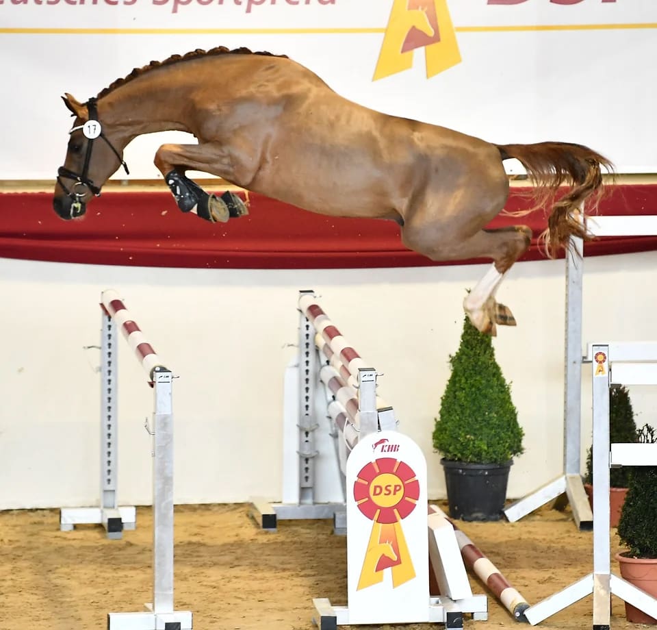 Otmendi - Ashland Farm