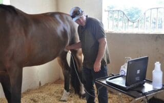 BarnManager
