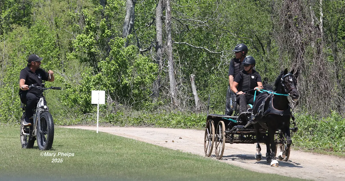 Fferm Gwenffrwd Onyx Star with Sarah Reitz. ©Mary Phelps