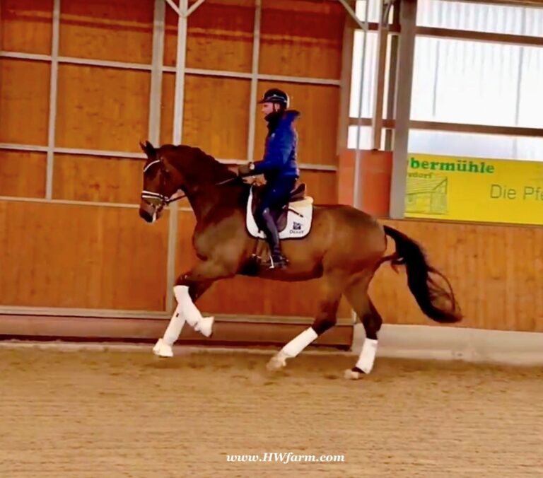 Secret Spice Canter 2025 Replacement 768x676