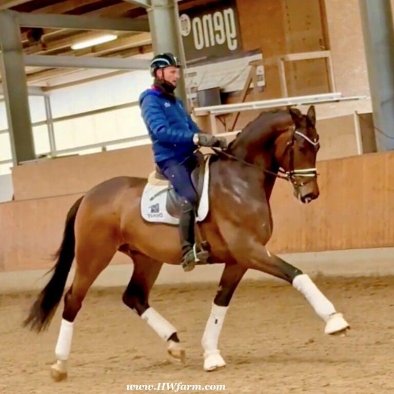 Secret Spice Trot Main 2025 Replacement 768x768