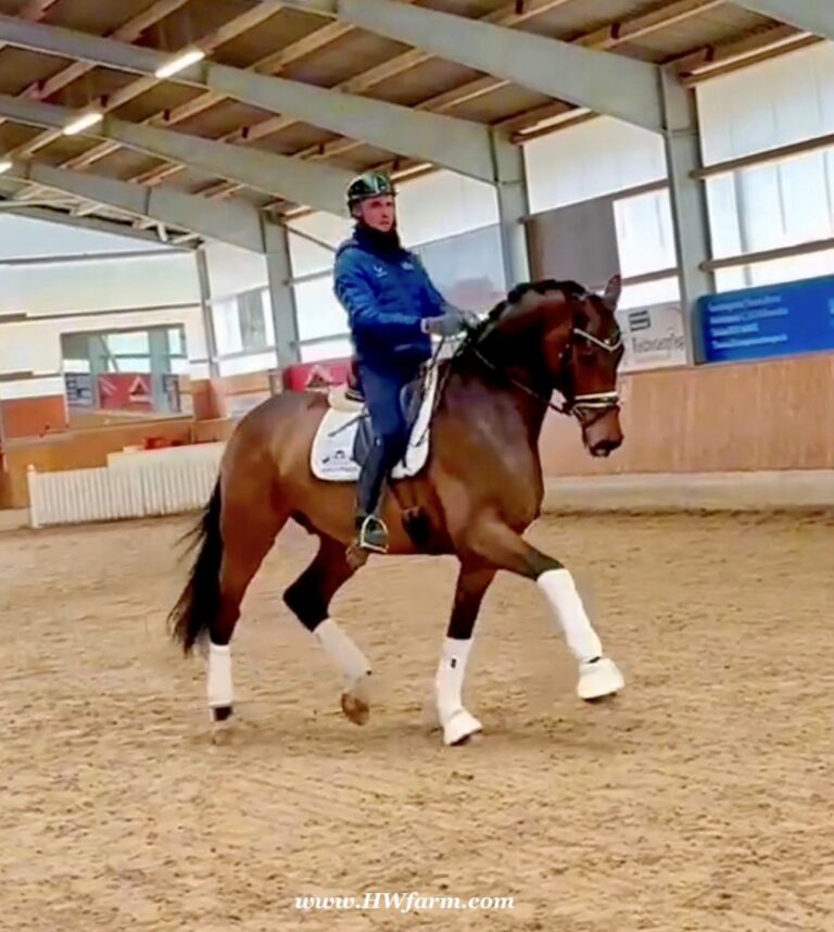 Secret Spice Trot Right 2025 Replacement 768x858