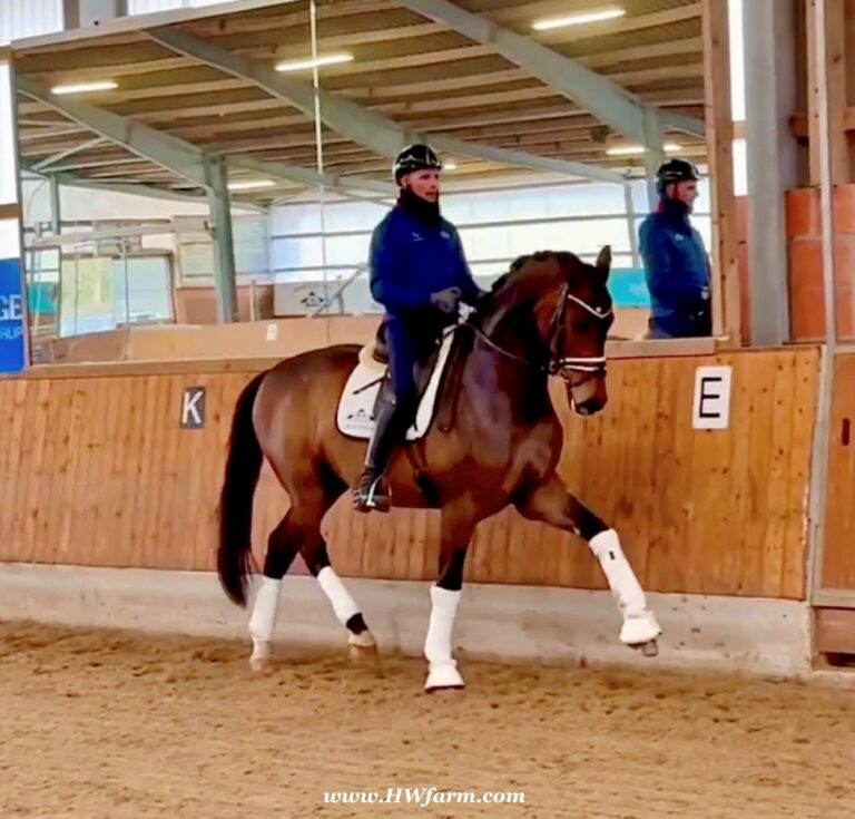 Secret Spice Trot Right2 2025 Replacement 768x735