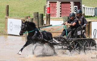Fferm Gwenffrwd Onyx Star with Sarah Reitz. ©Sharon Packer