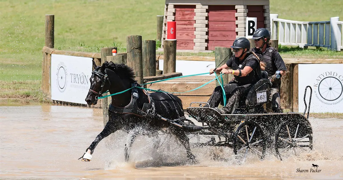 Fferm Gwenffrwd Onyx Star with Sarah Reitz. ©Sharon Packer