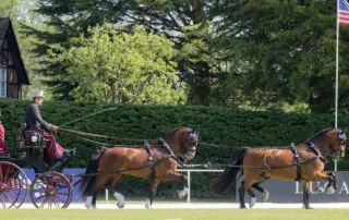 WEBER-USA-dressage-WINDSOR2025-9488-copy.jpg