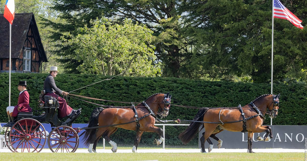 WEBER-USA-dressage-WINDSOR2025-9488-copy.jpg