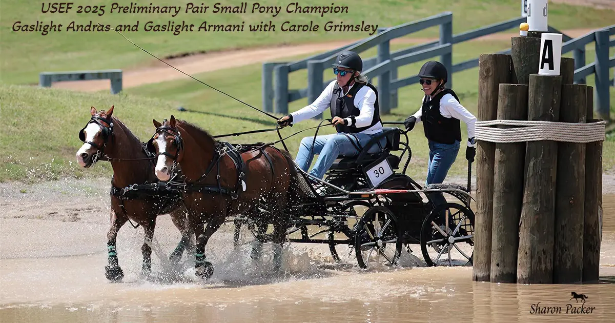 Caslight Andras and Gaslight Armani with Carole Grimsley. ©Sharon Packer
