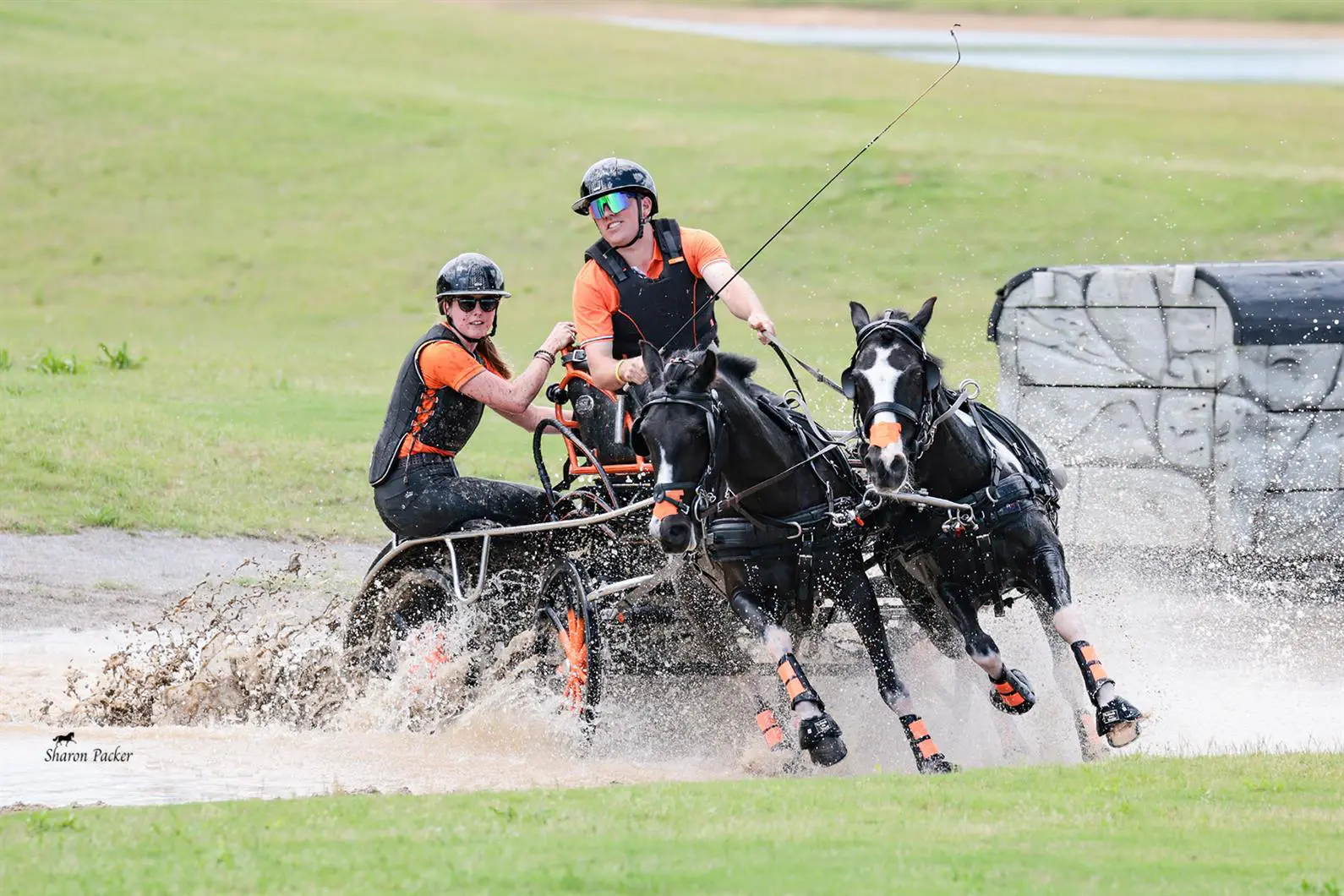 Colten Parker with Jack and Jill. ©Sharon Packer