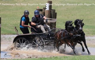 Bayshore Pastime and Tulipkings Maverick with Megan Fullgraf. ©Sharon Packer