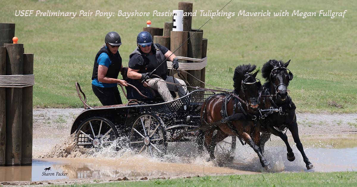 Bayshore Pastime and Tulipkings Maverick with Megan Fullgraf. ©Sharon Packer