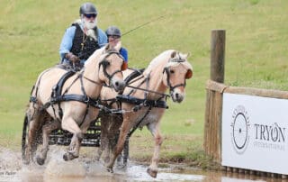 Phillip Odden 2025 USEF Intermediate Pony Pair Champion