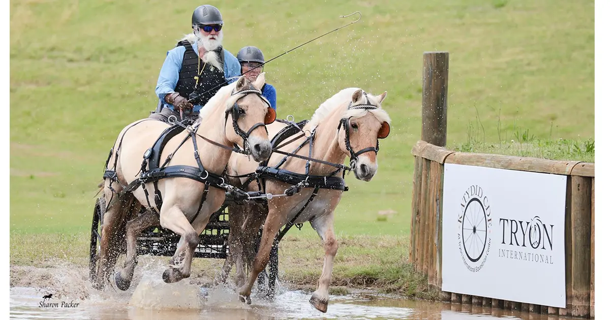 Phillip Odden 2025 USEF Intermediate Pony Pair Champion