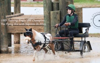 Training Single VSE: The Flying Ace with Sammie Jo Allen