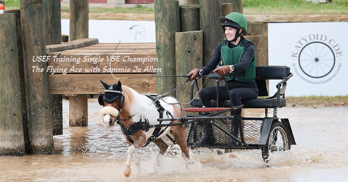 Training Single VSE: The Flying Ace with Sammie Jo Allen