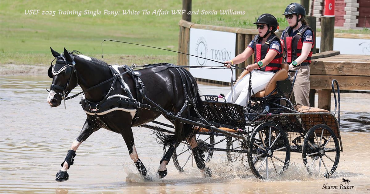 White Tie Affair WRP and Sonia Williams. ©Sharon Packer