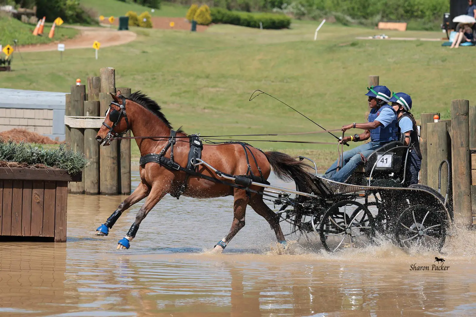 USEF Intermediate Single Pony Champions Chardonnay with Tracey Turner