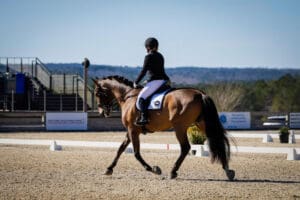 Elizabeth Welch, 2025