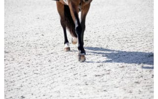 BarnManager