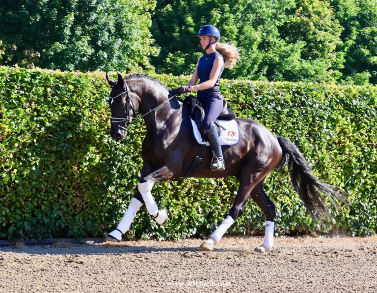 SuperMan HW Canter HM25 July 768x596