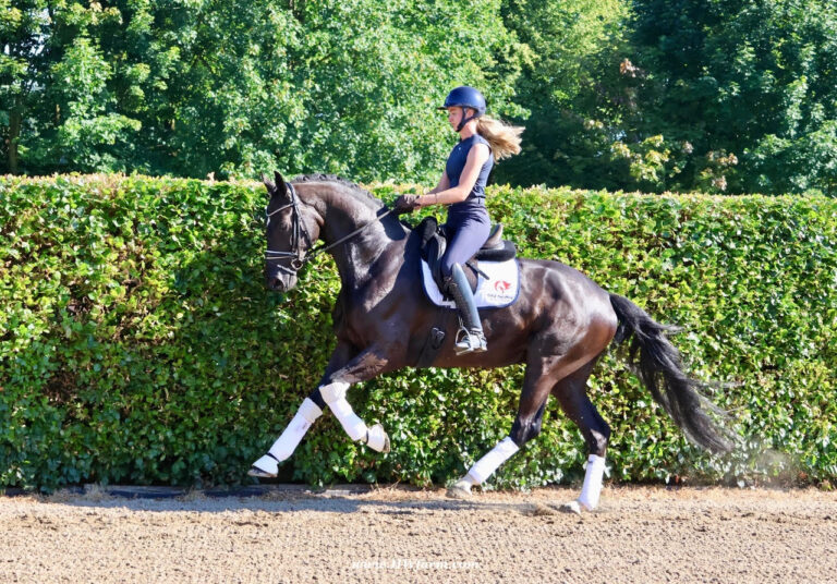 SuperMan HW Canter2 HM25 July 768x536