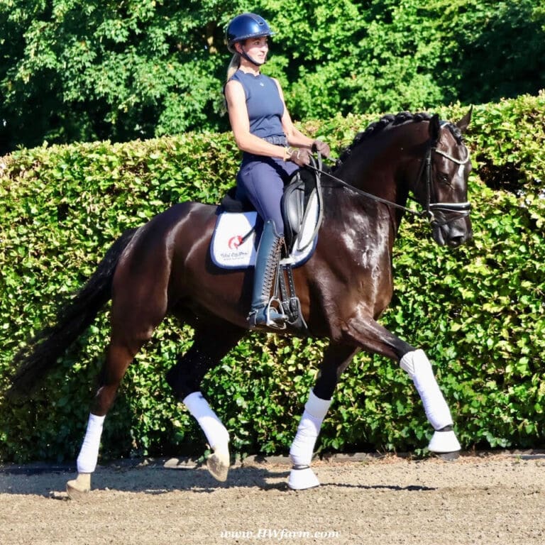 SuperMan HW Main Trot HM25 July 768x768