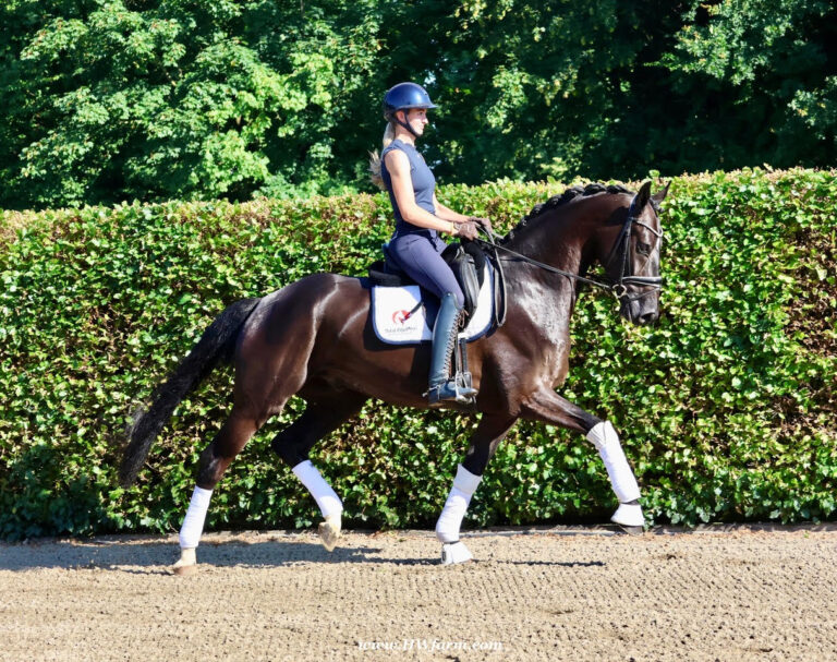 SuperMan HW Trot HM25 July 768x607