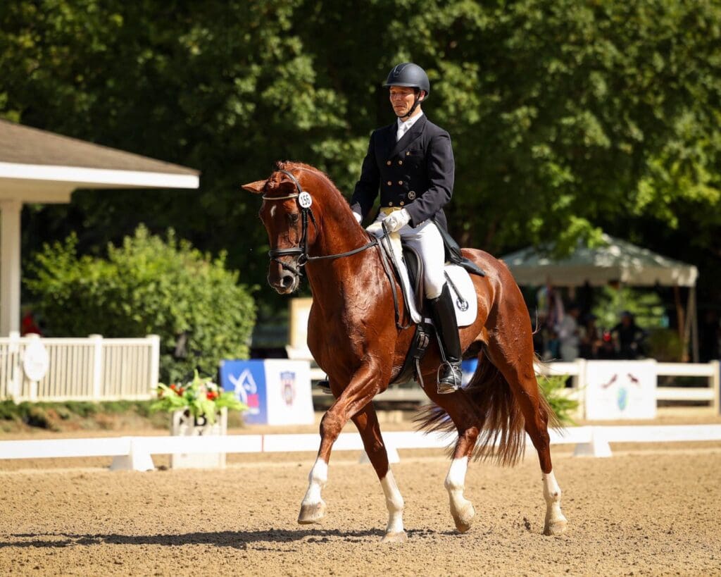Christian Hartung & Velantis N