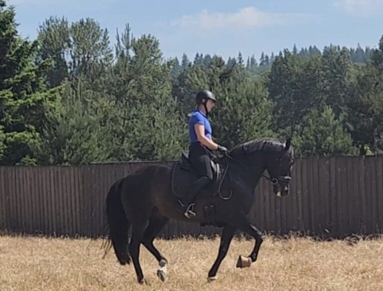 Herrmoso Trotting 768x585