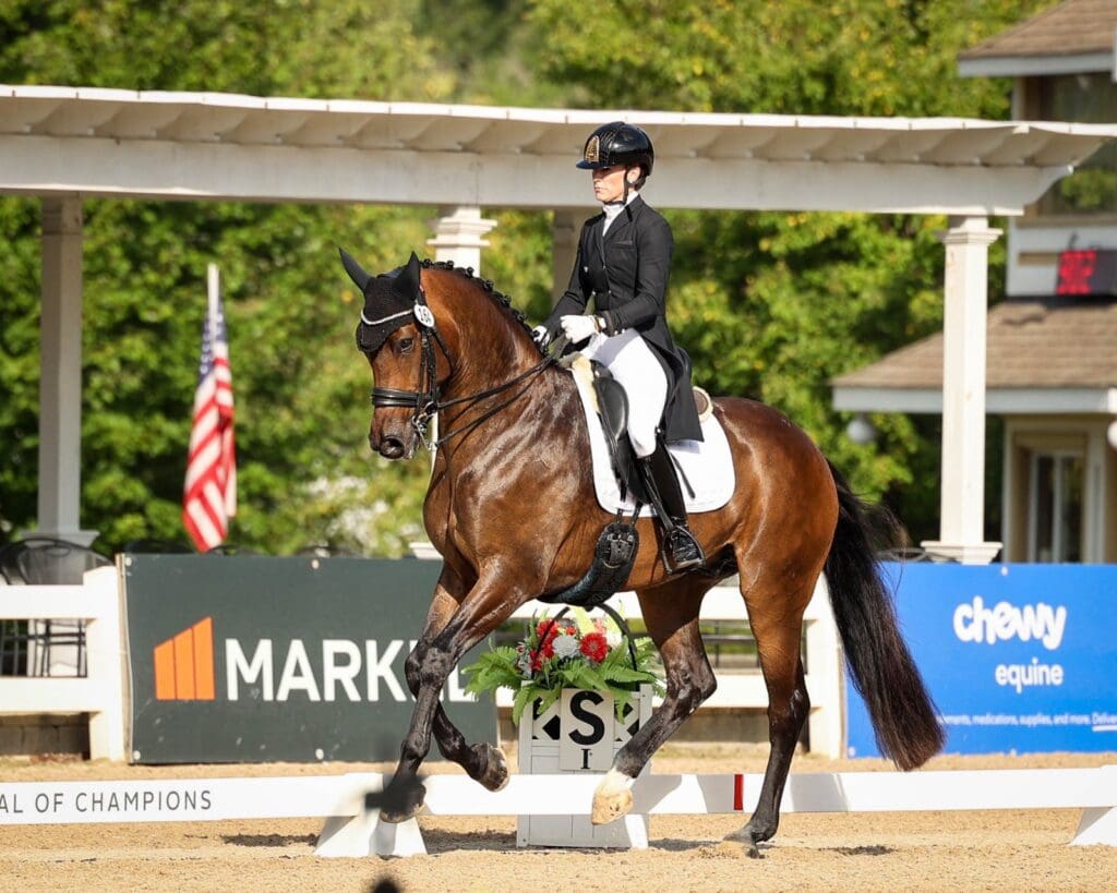 MSJ for VIPs and Rebecca Rigdon