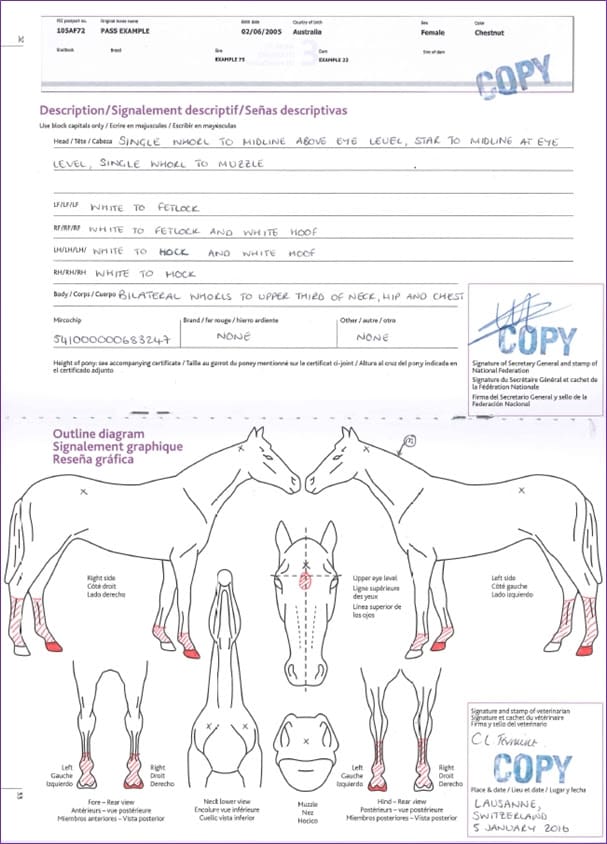 An example of a FEI passport page. Courtesy of FEI